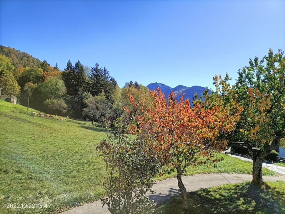 Gite Coeur De Haute-Savoie Viuz-en-Sallaz Екстериор снимка