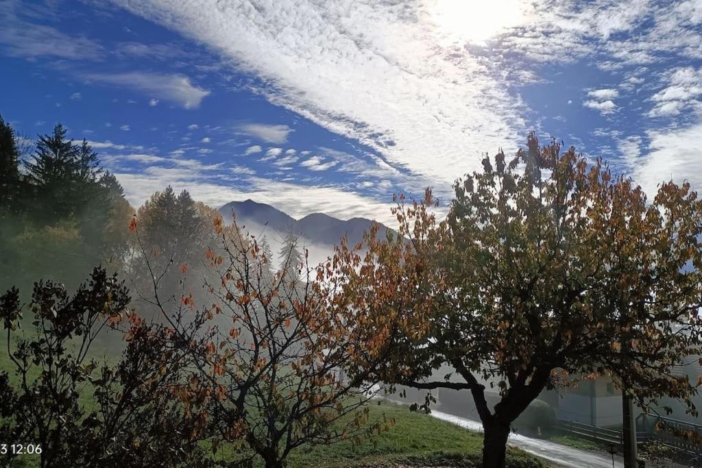 Gite Coeur De Haute-Savoie Viuz-en-Sallaz Екстериор снимка