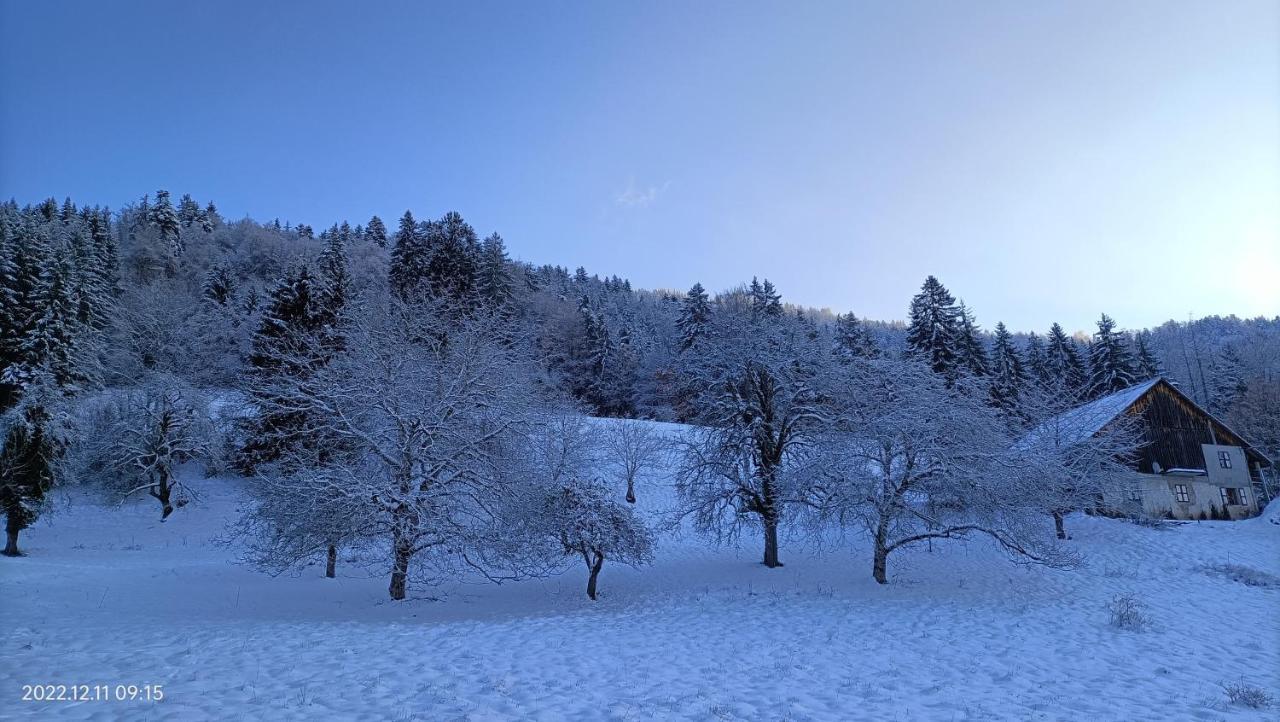 Gite Coeur De Haute-Savoie Viuz-en-Sallaz Екстериор снимка