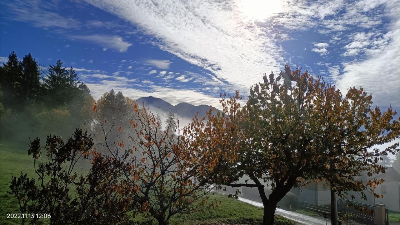 Gite Coeur De Haute-Savoie Viuz-en-Sallaz Екстериор снимка