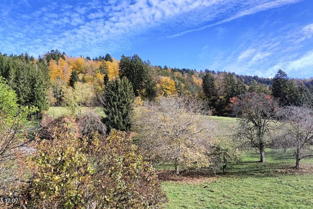 Gite Coeur De Haute-Savoie Viuz-en-Sallaz Екстериор снимка